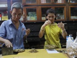 Melihat Toko Medis Herbal Tertua di Glodok Jakarta