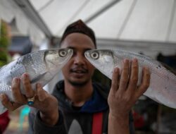 Mengenal Nganter Bandeng, Kearifan Lokal Orang Betawi-Tionghoa Jelang Imlek