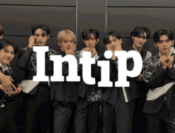 7 Idol Comeback Januari 2025