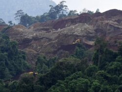 Kajati Sulteng Tetapkan 4 Tersangka Kasus Tambang Nikel Ilegal