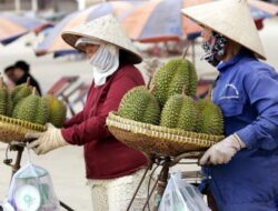 Thailand-RI Lewat! Durian dari Negara Ini Semakin Populer di China