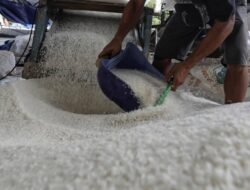 Mentan Ungkap Kecurangan Beras Rugikan Konsumen Rp99 T per Tahun