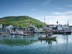 Daftar Negara Paling Damai di Dunia 2025, Indonesia Peringkat Berapa?