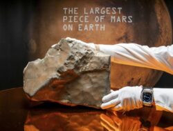Meteorit Mars 25 Kg Terbesar di Bumi Terjual Rp86 Miliar
