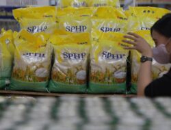 Bapanas Sebut Beras SPHP Bulog dan Merek Premium Langka di Alfamart Cs