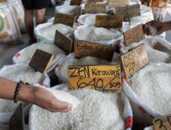 Ini Biang Kerok Harga Beras di Pasar Tradisional Melambung di Atas HET