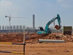 Pabrik BYD dan Vinvast Diduga Berdiri di Lahan Pertanian