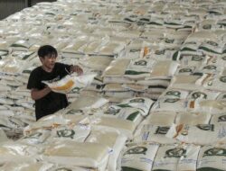 Amran Beber Dalang Harga Beras Masih di Atas HET