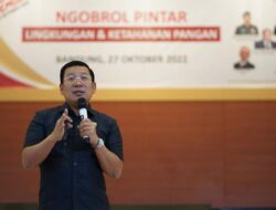 Bantuan Pangan Beras Berpotensi Disetop 2026, Ini Penjelasannya