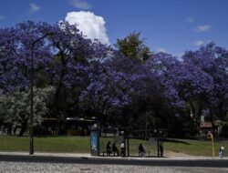 Kota Ini Jadi Tempat Paling Bikin Senang untuk Destinasi Liburan