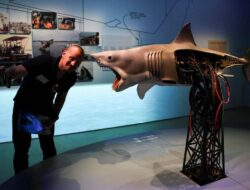 Merayakan 50 Tahun Jaws, Karya Legendaris Spielberg