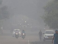 New Delhi Berencana Diguyur Hujan Bersejarah Pekan Depan, Ada Apa?