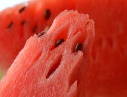 Testpack ‘Positif’ Ditusuk ke Semangka, Dokter Tegaskan Berita Palsu