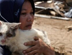Kisah Cinta Kucing dan Pemiliknya di Tengah Bencana Sumatera