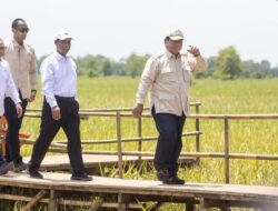 Prabowo Umumkan RI Swasembada Pangan Hari Ini